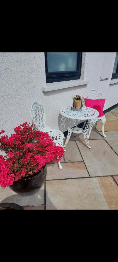 Knockrobin Cottage Wicklow Exterior foto